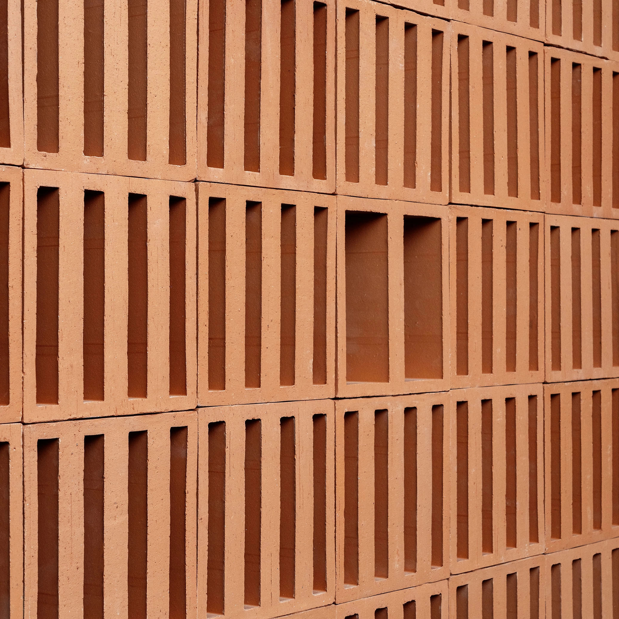 Tally - Mutina