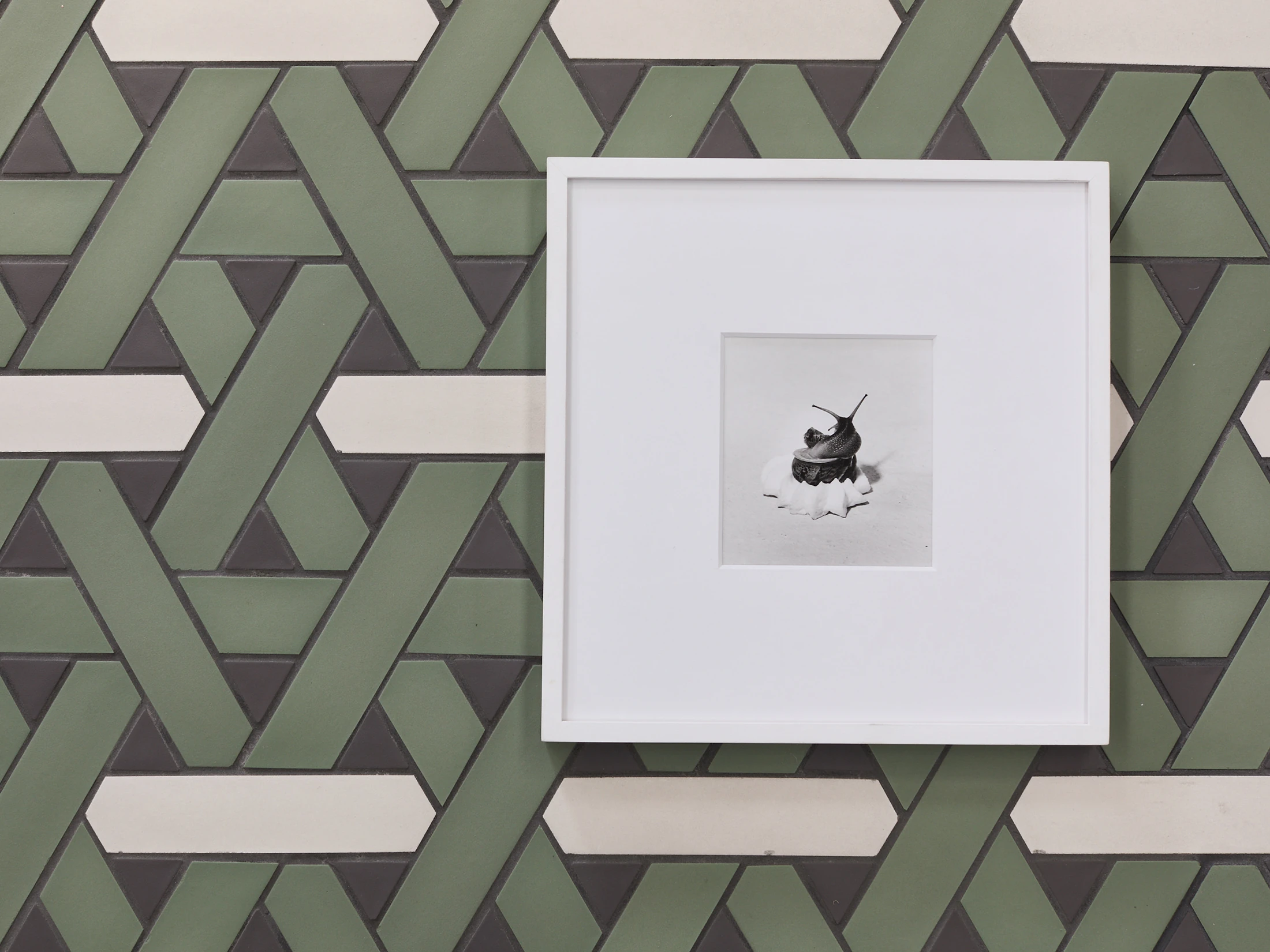 Weaving - Mutina