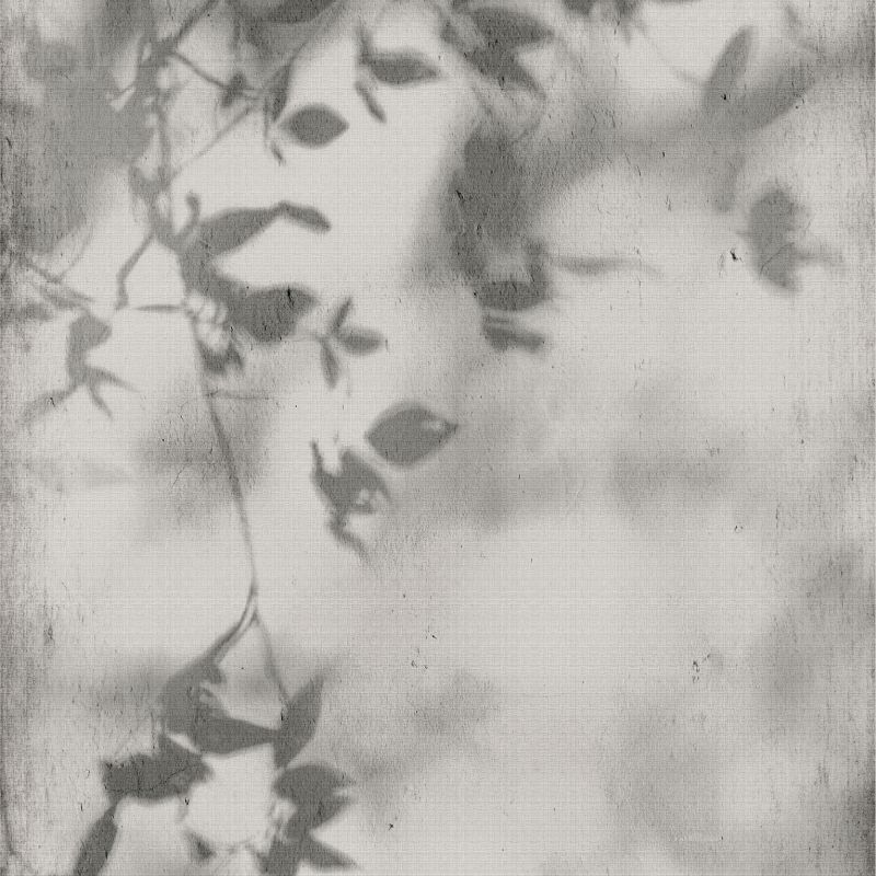 Shadow - Art Walls - Flaviker - Obklady, dlažby
