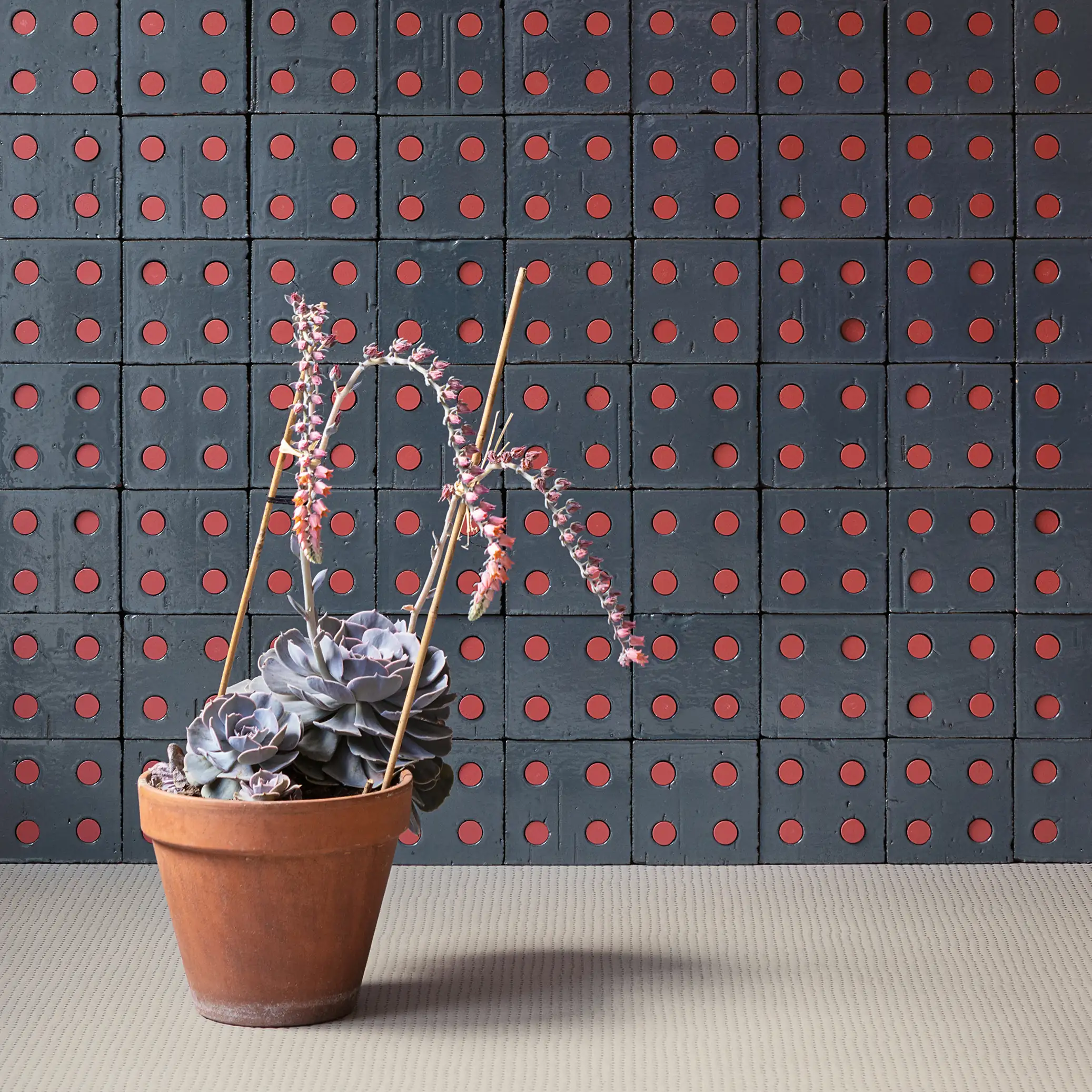 Bloc - Mutina